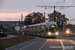 Alstom Citadis 402 n°877 sur la ligne T3 (TCL) à Lyon