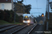 Alstom Citadis 402 n°884 sur la ligne T3 (TCL) à Lyon