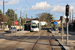 Alstom Citadis 302 n°831 sur la ligne T5 (TCL) à Bron