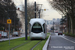 Alstom Citadis 302 n°841 sur la ligne T6 (TCL) à Lyon