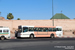 Marrakech Bus