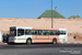 Marrakech Bus