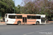 Marrakech Bus