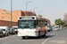 Marrakech Bus 10