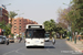 Marrakech Bus 15