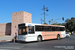 Marrakech Bus 66