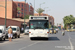 Marrakech Bus 9