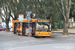 Milan Bus 60
