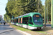 Milan Tram 31