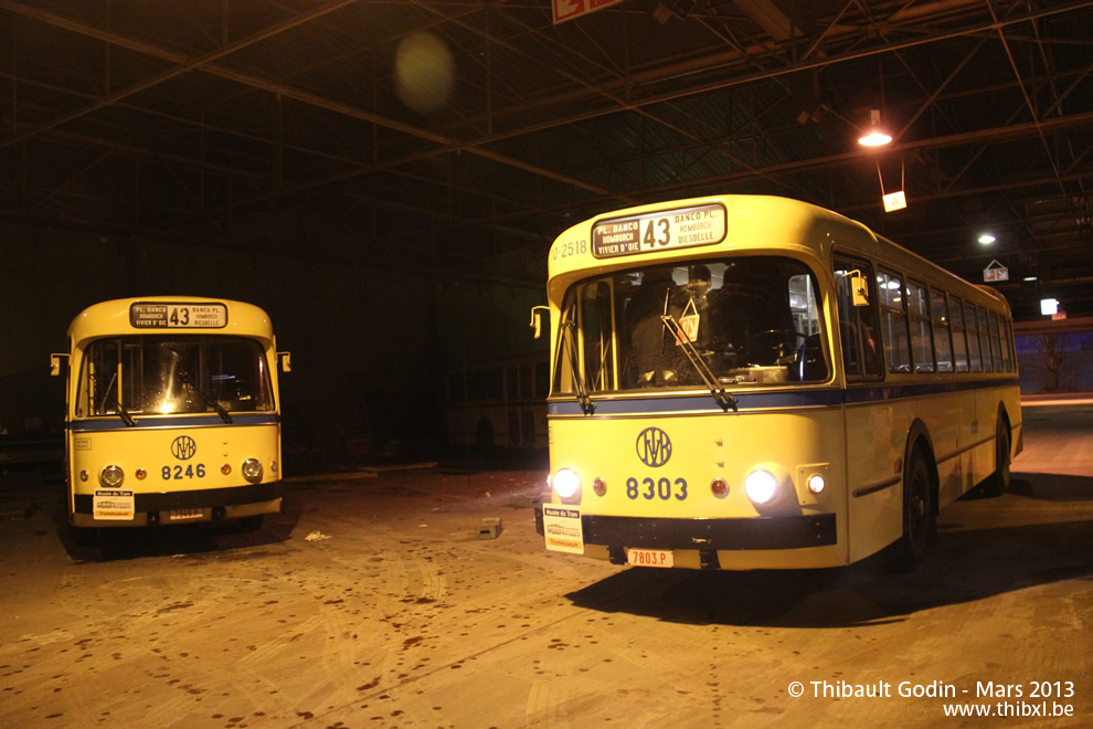 Autobus 8246 et 8303 du Musée du Transport Urbain Bruxellois - Trammuseumbrussels