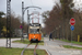 Gotha T57 n°38 sur la ligne 4 (Naumburger Straßenbahn) à Naumbourg (Naumburg)