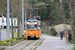 Gotha T57 n°38 sur la ligne 4 (Naumburger Straßenbahn) à Naumbourg (Naumburg)