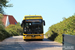 Ebusco 2.2 12 LF Electric n°6136 (10-BLZ-9) sur la ligne 1 (Qbuzz Fryslân) à Oost-Vlieland