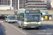 Renault Agora S n°2557 sur la ligne 175 (RATP) à Saint-Cloud