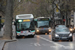 MAN A37 NL 253 Lion's City Hybrid n°9982 (DA-787-HM) sur la ligne 21 (RATP) à Cité (Paris)