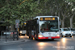 Rome Bus 63
