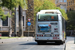 Rome Bus 81