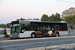 Rome Bus H