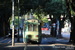 Rome Tram 19