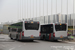 Rotterdam Bus 39