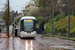 Alstom Citadis 402 n°842 sur la ligne de tramway (Astuce) à Rouen