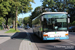 Stralsund Bus 308