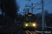 SIG Zwitserse tram n°5012 sur la ligne 61 (U-OV) à IJsselstein