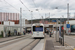 Volvo B5LA Hybrid 7900A n°190 (ZH 788 190) sur la ligne 75 (VBZ) à Zurich (Zürich)