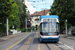 Zurich Tram 6