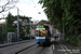 Zurich Tram 8