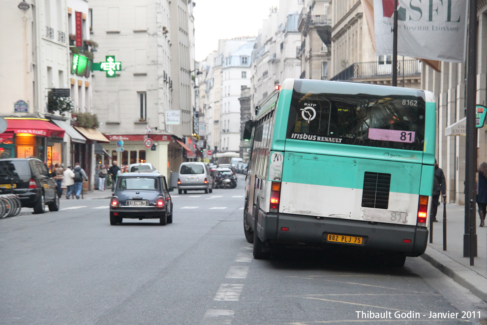 Bus 8162 (802 PLJ 75) sur la ligne 81 (RATP) à Palais Royal Musée du Louvre (Paris)