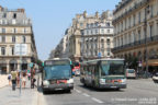 Bus 8163 (777 PLJ 75) sur la ligne 81 (RATP) à Louvre - Rivoli (Paris)