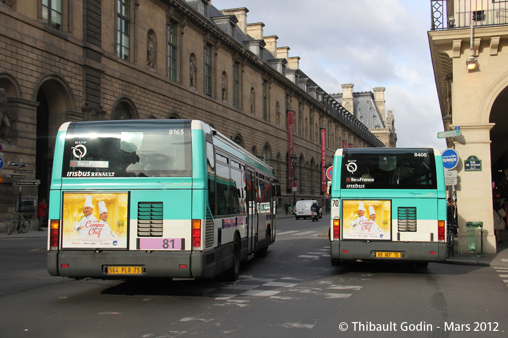 Bus 8165 (564 PLQ 75) sur la ligne 81 (RATP) à Palais Royal Musée du Louvre (Paris)