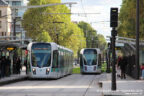 Trams 354 et 357 sur la ligne T3b (RATP) à Porte de Bagnolet (Paris)