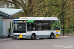 Bus à Bruges