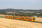Trams de Leymen