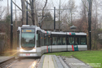 Trams de Rotterdam