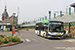 MAN NL 326 Lion's City 12 C Electric n°674082/8003 (2-GLS-960) sur la ligne 61 (De Lijn) à Audenarde (Oudenaarde)