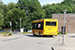 Golden Dragon XML6125CLE Pivot 12 Electric n°8075 (EN 19 559) sur la ligne 43 (Sydtrafik) à Billund