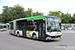 MAN NG 544 Lion's City 18 C Electric n°613034 (2-GPY-265) sur la ligne 50 (De Lijn) à Bruges (Brugge)