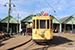 TB Standard n°1259 (STIB - MIVB) au Musée du Tram (MTUB - MSVB) à Bruxelles (Brussel)