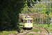 TB Standard n°1259 (STIB - MIVB) du Musée du Tram (MTUB - MSVB) à Tervuren