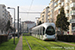 Alstom Citadis 402 n°877 sur la ligne T3 (TCL) à Villeurbanne
