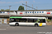 VDL Citea III LF-122 Electric n°2903 (2-ERF-007) sur la ligne 31 (De Lijn) à Saint-Nicolas (Sint-Niklaas)