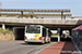 MAN A23 NG 323 Lion's City G n°623076 (2-FUG-838) sur la ligne 43 (De Lijn) à Saint-Nicolas (Sint-Niklaas)