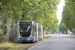 Fiat Cityway II n°6012 sur la ligne 4 (GTT) à Turin (Torino)