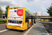 Golden Dragon XML6125CLE Pivot 12 Electric n°8524 (XS 91 790) sur la ligne 8 (Sydtrafik) à Vejle